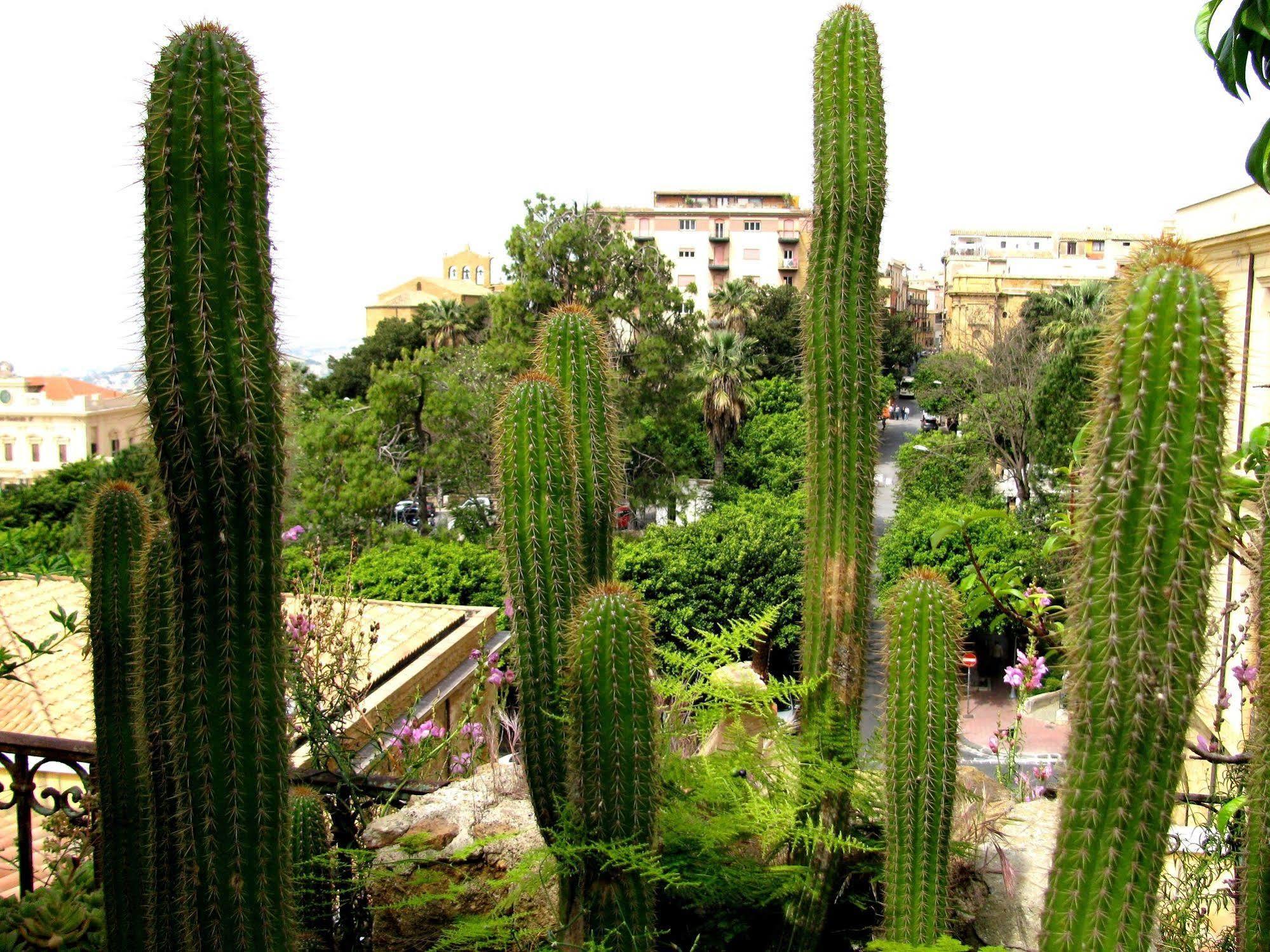 Bed & Breakfast Le Palme Αγκριτζέντο Εξωτερικό φωτογραφία